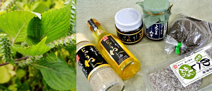 エゴマ