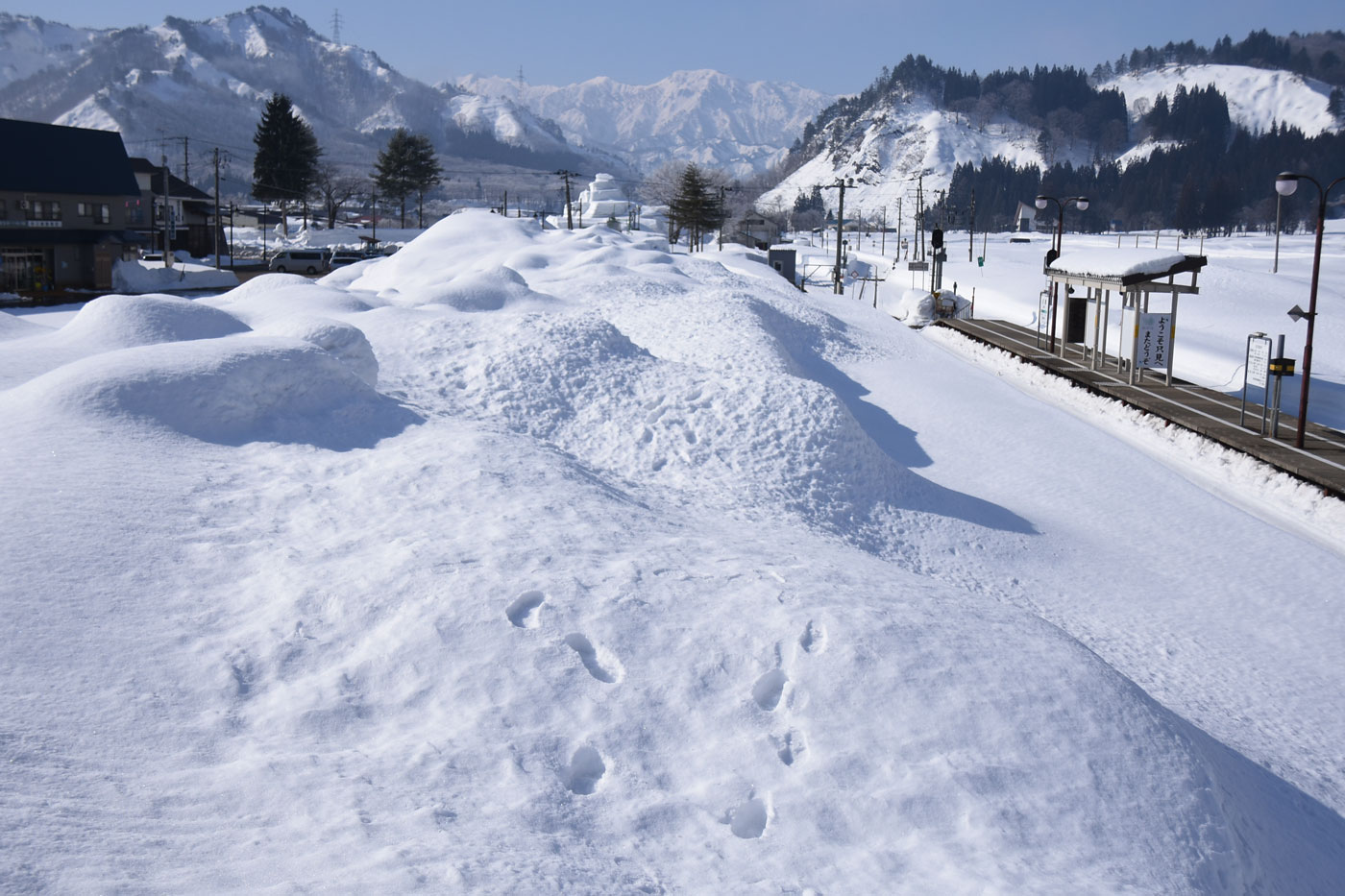 かた雪わたり